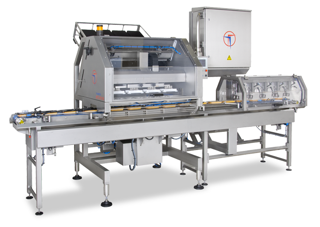 Fruit Processing Machines